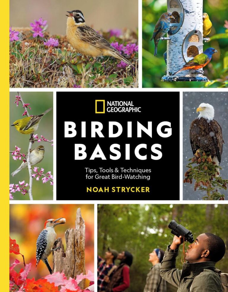 National Geographic Birding Basics Tips, Tools, and Techniques for Great Bird-watching