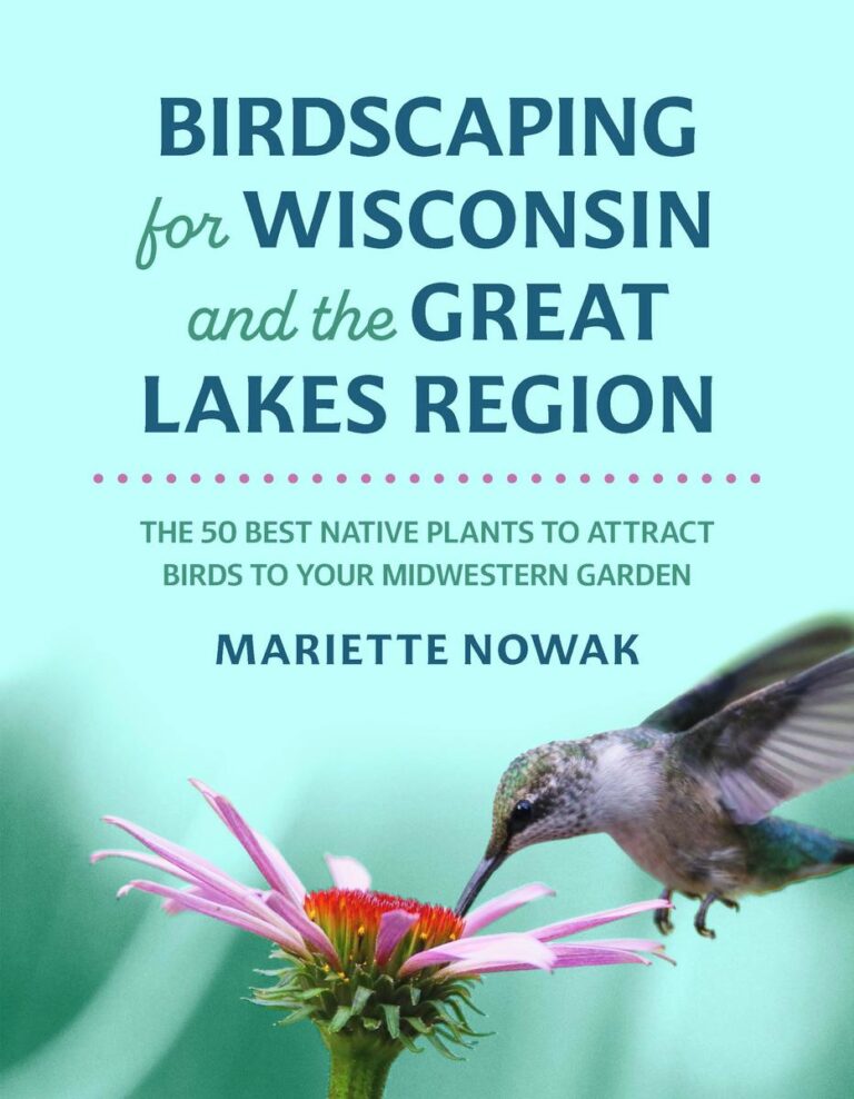 Birdscaping for Wisconsin and the Great Lakes Region The 50 Best Native Plants to Attract Birds to Your Midwestern Garden