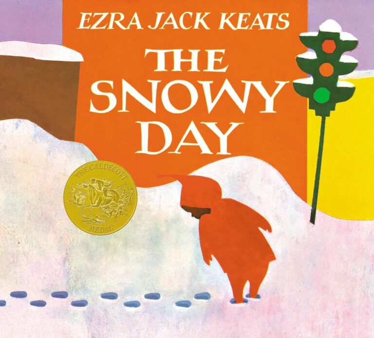 Snowy Day (Hardcover)