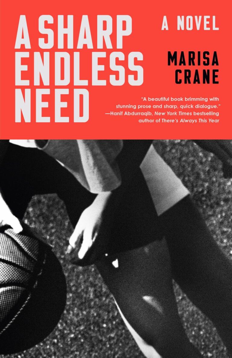 A Sharp Endless Need (a novel)
