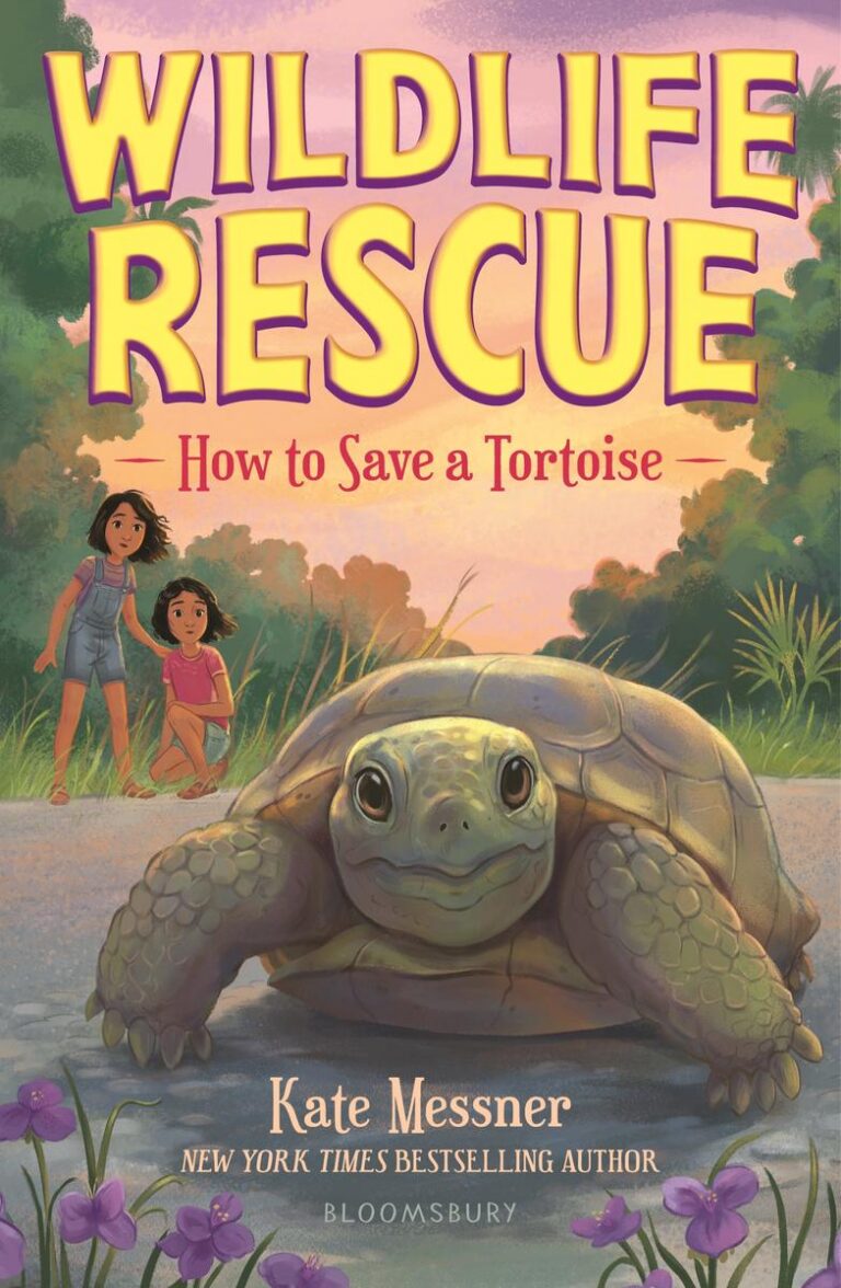 How to Save a Tortoise