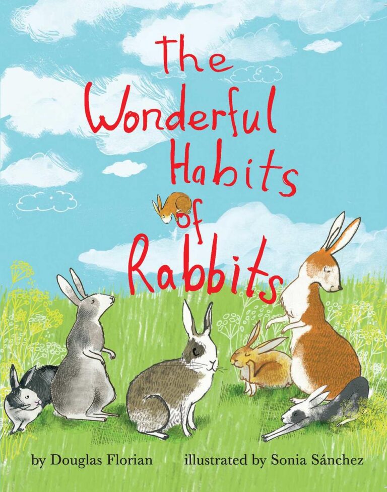 The Wonderful Habits of Rabbits  |  Board Book