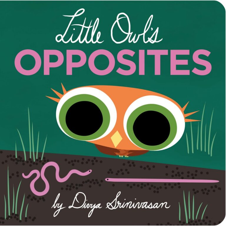 Little Owl's Opposites | Board Book