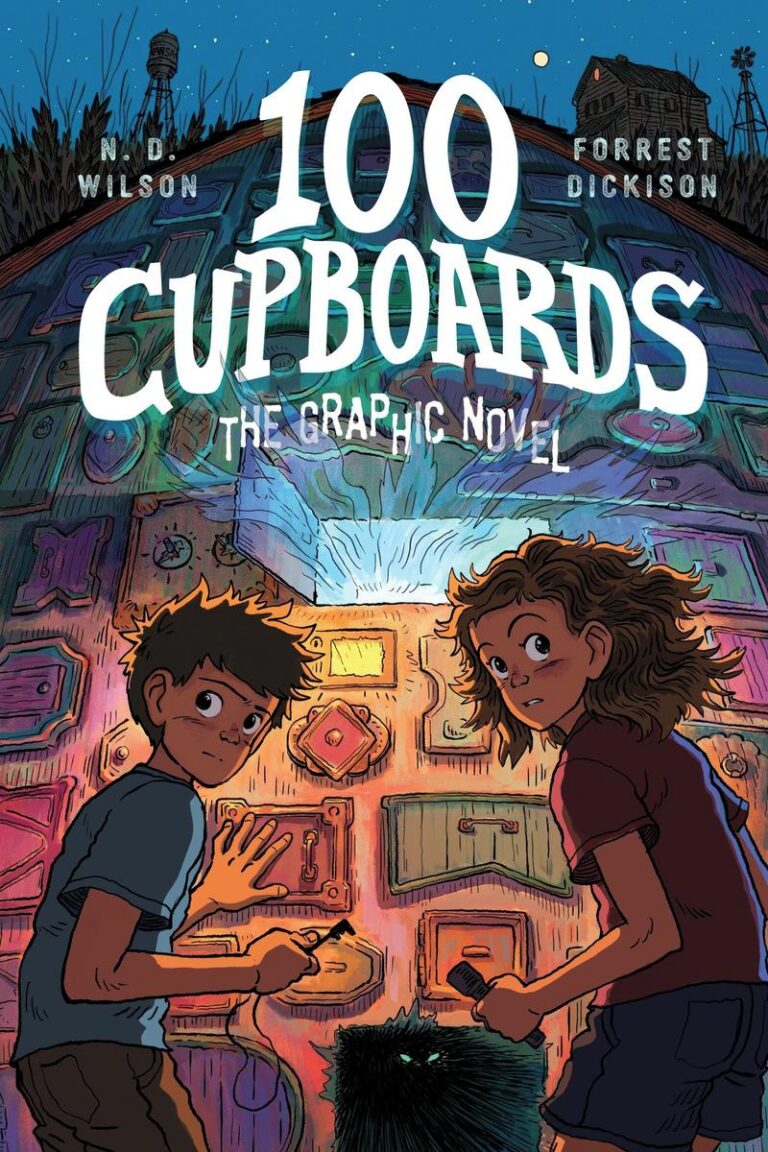 100 Cupboards  /  Paperback